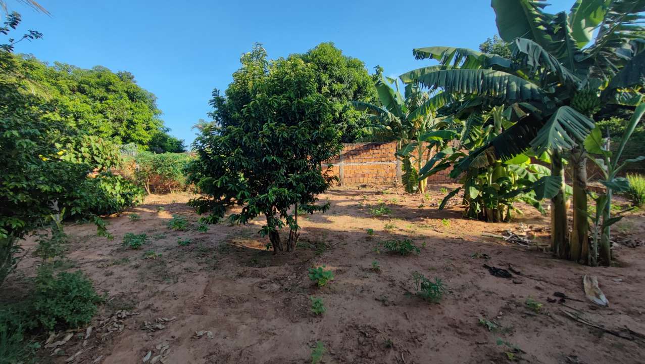 Conheça Chácara 1400m² à venda Sales,SP Residencia Floriano - R$ 339.200 - KB920 - 19 19