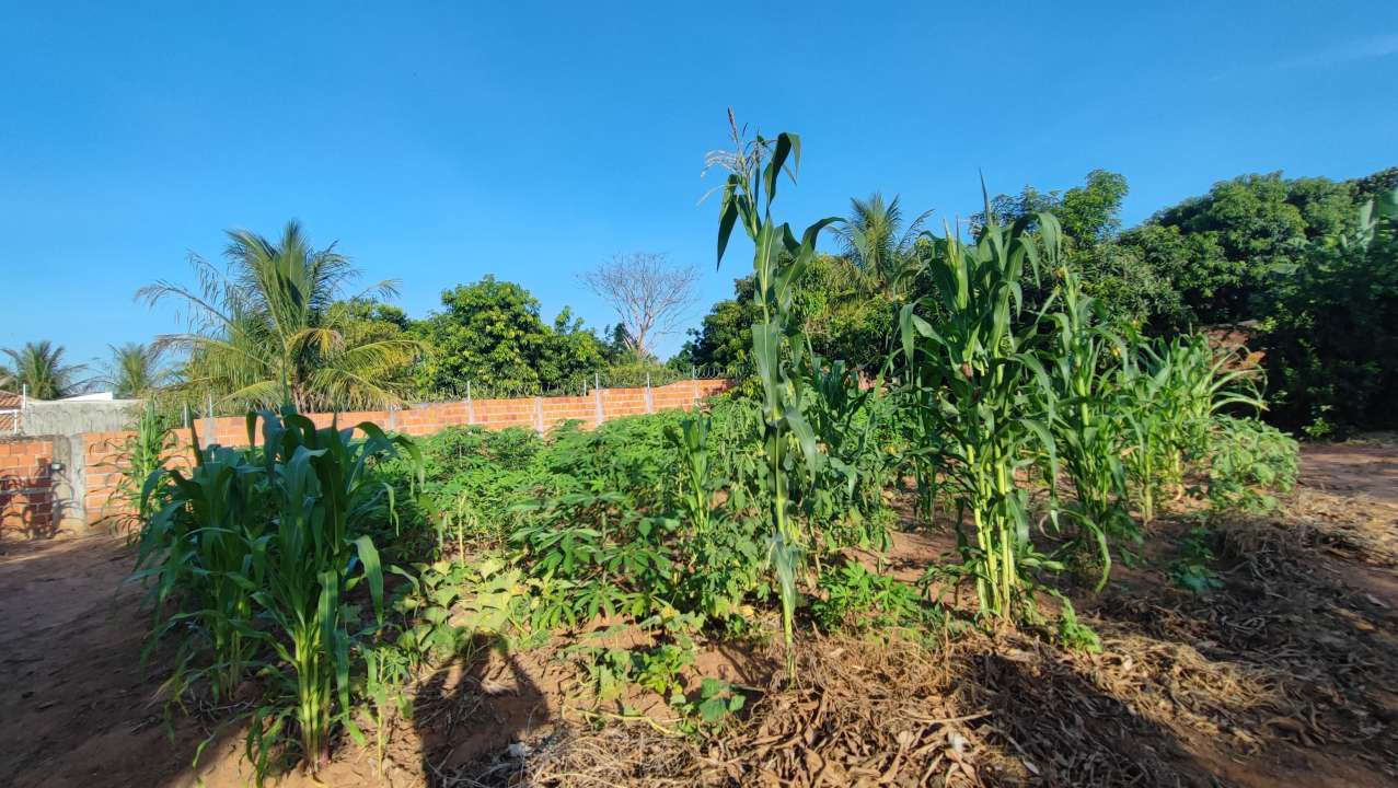 Conheça Chácara 1400m² à venda Sales,SP Residencia Floriano - R$ 339.200 - KB920 - 21 21