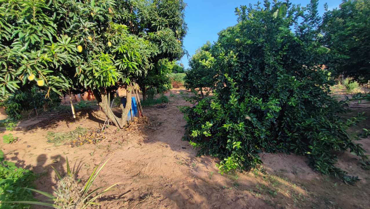 Conheça Chácara 1400m² à venda Sales,SP Residencia Floriano - R$ 339.200 - KB920 - 22 22
