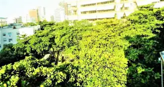 Conheça VISTA VERDE do imóvel - Cobertura 5 quartos à venda Leblon, Zona Sul,Rio de Janeiro - R$ 4.300.000 - COB-2208 - 21 VISTA VERDE - 21