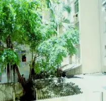 DSC09825 - 20
