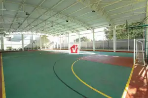 41