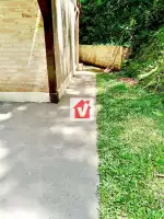 81