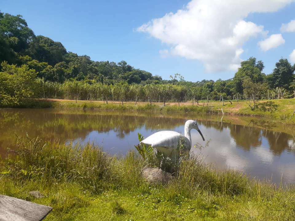 Lago - 15