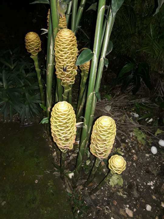 19