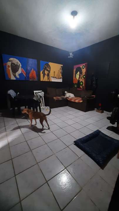 Sala - 7