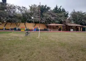 56