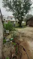 Quintal - 4