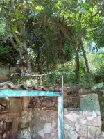 Ótima localização - Casa à venda Rua Abílio Barreto, Guaratiba, Rio de Janeiro - R$ 170.000 - 152