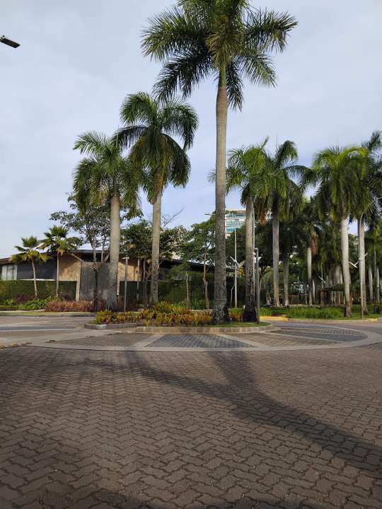 Conheça Lote em condomínio à venda Rua Benjamim Magalhães, Barra da Tijuca, Rio de Janeiro - R$ 5.000.000 - N009 - 24 24