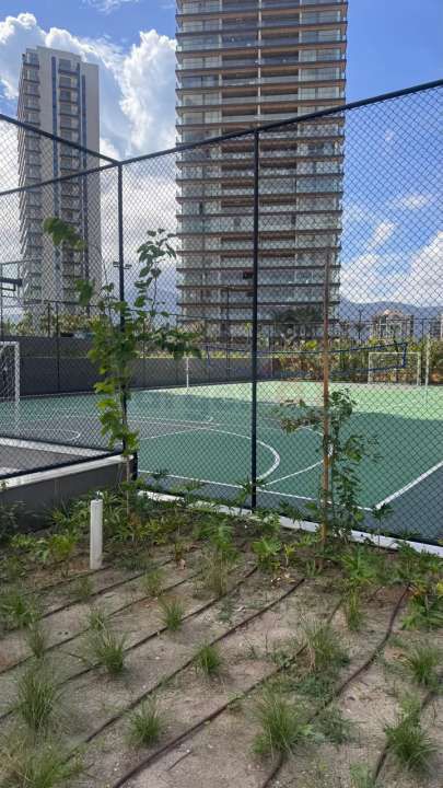 Conheça Excelente Apartamento Venda Barra da Tijuca - Atlântico Golf - 028 - 26 26