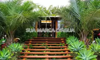 Entrada - 1