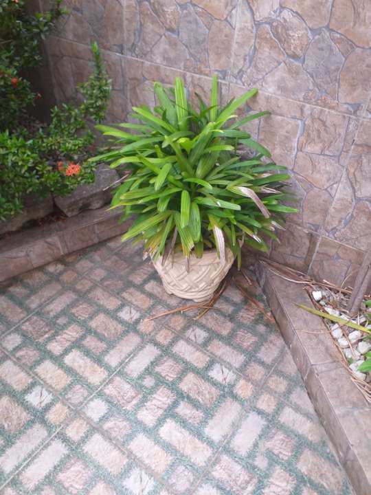 Conheça Excelente Casa de frente com 3Quartos em Braz de Pina-VENDA - 3015 - 7 7