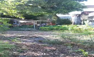 Conheça Ótimo Terreno em Ramos- Venda - 6011 - 5 5