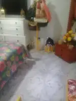 Conheça Excelente Apartamento/Casa/Loja - Vila da Penha -Venda - 3-014 - 10 10