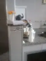 Conheça Excelente Apartamento/Casa/Loja - Vila da Penha -Venda - 3-014 - 16 16