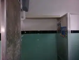 Conheça Excelente Casa em Cordovil com Amplo Terreno -Venda - 411 - 14 14