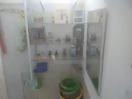 Conheça Imóvel, Brás de Pina Rio de Janeiro, RJ / Venda - 429 - 31 31
