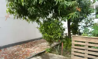 Conheça Casa dos Fundos do imóvel - Excelente Apartamento Tipo Casa com Garagem na Penha- Venda - 445 - 48 Casa dos Fundos - 48