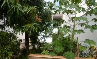 Conheça Casa dos Fundos do imóvel - Excelente Apartamento Tipo Casa com Garagem na Penha- Venda - 445 - 50 Casa dos Fundos - 50