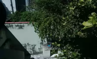 Conheça Ótima Casa 02 Quartos em Ramos - 448 - 4 4