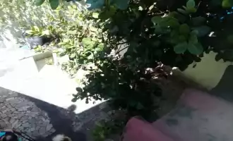 Conheça Ótima Casa 02 Quartos em Ramos - 448 - 5 5