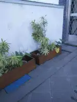Conheça Excelente Apartamento em Ramos -Venda - 2049 - 39 39