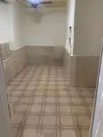 Conheça Excelentes quatro casas no mesmo Terreno para venda em Bras de Pina - 1006 - 10 10