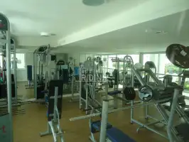 44