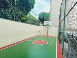 41
