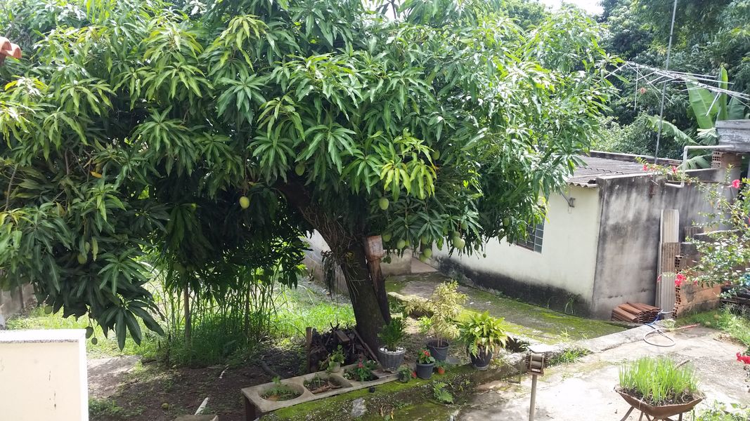 Conheça Casa, à Venda, Lagoa de Santo Antônio, Pedro Leopoldo, MG - VCS067 - 3 3