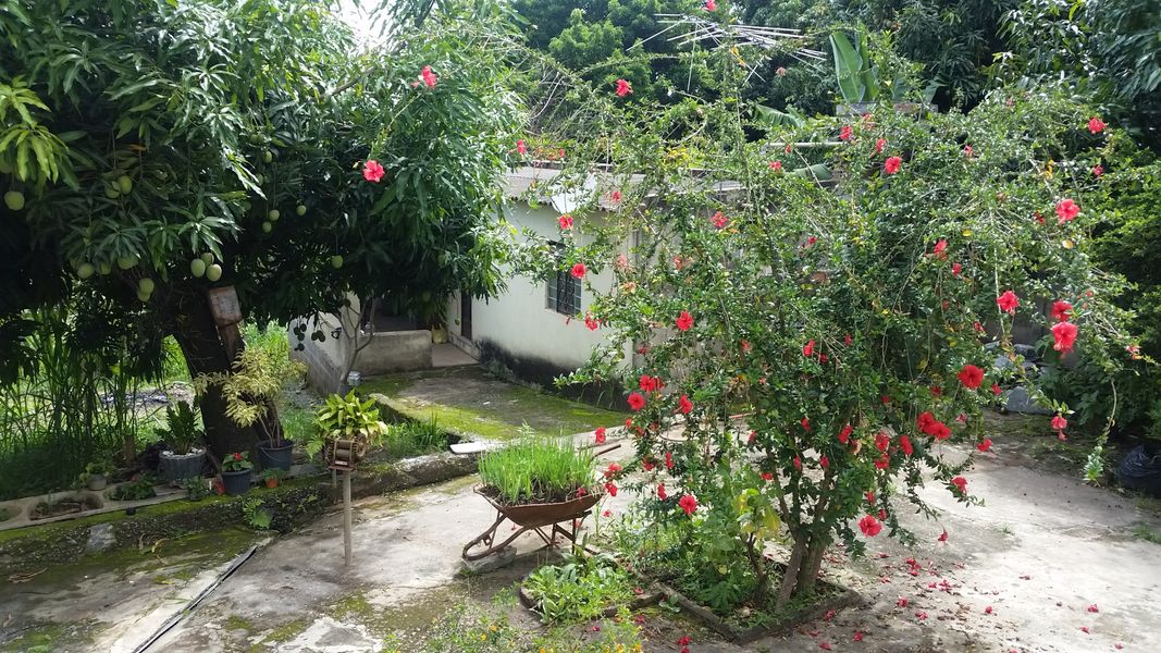 Conheça Casa, à Venda, Lagoa de Santo Antônio, Pedro Leopoldo, MG - VCS067 - 4 4