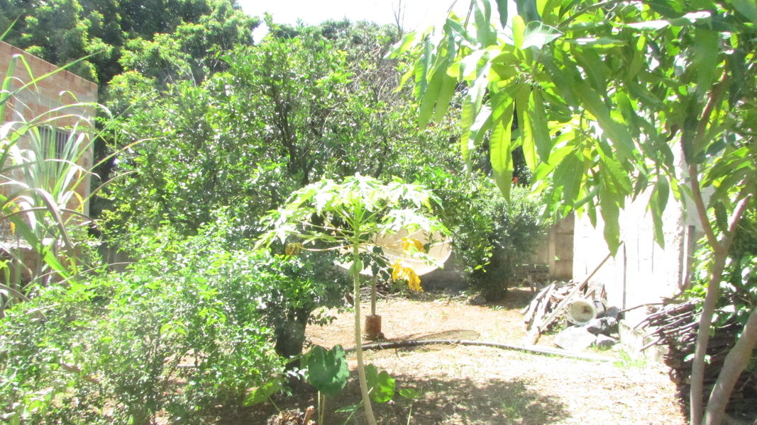 Conheça Casa, à Venda, Lagoa de Santo Antônio, Pedro Leopoldo, MG - VCS067 - 22 22