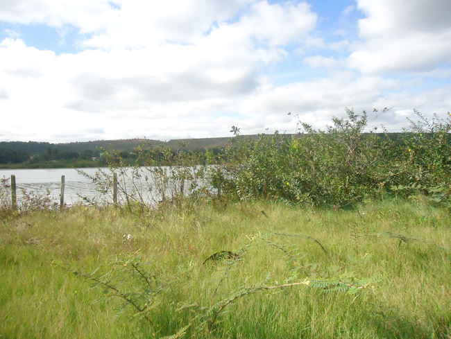 Conheça Lote à venda Confins,MG Centro - lt004 - 9 9