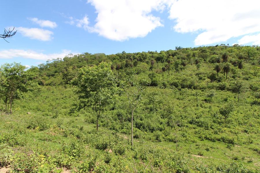 Conheça Imóvel, Terreno | Fazenda, à Venda, Vera Cruz de Minas. - VTR006 - 4 4