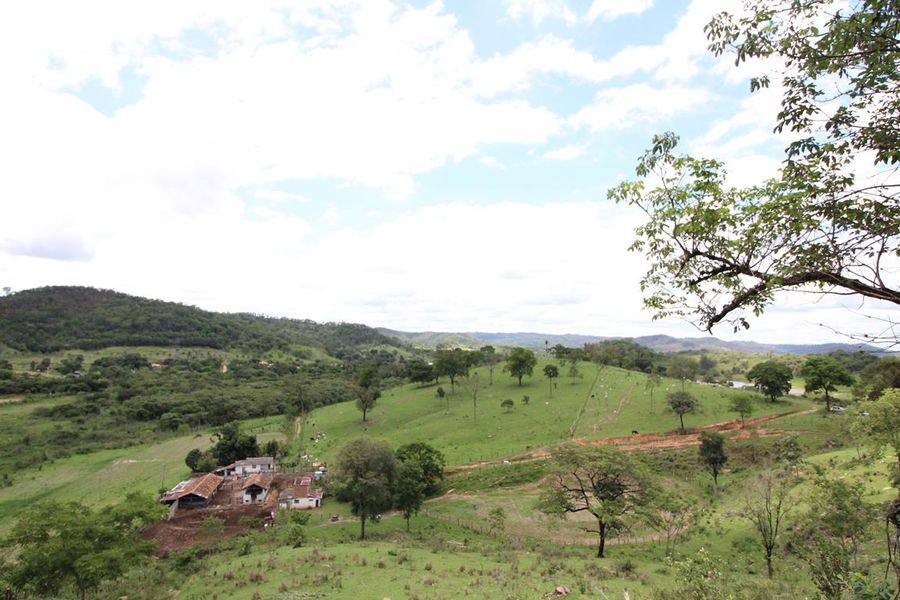 Conheça Imóvel, Terreno | Fazenda, à Venda, Vera Cruz de Minas. - VTR006 - 7 7