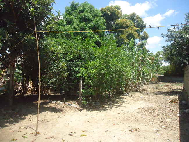 Conheça Terreno Comercial à venda Pedro Leopoldo,MG - R$ 5.010.000 - vtr001 - 5 5
