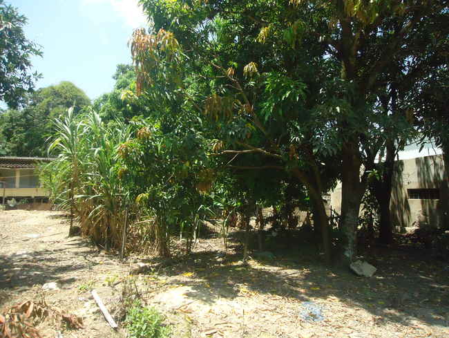 Conheça Terreno Comercial à venda Pedro Leopoldo,MG - R$ 5.010.000 - vtr001 - 9 9