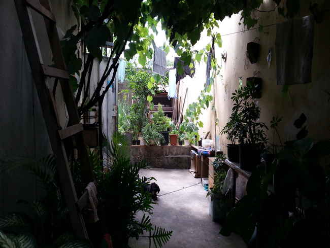Conheça Casa 3 quartos à venda Pedro Leopoldo,MG - R$ 360.000 - vcs024 - 6 6
