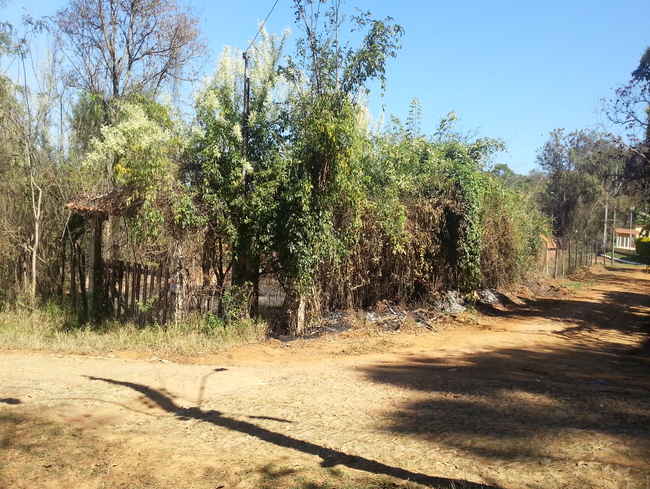Conheça Terreno Fração à venda Lagoa dos Mares - R$ 220.000 - VLT008 - 9 9