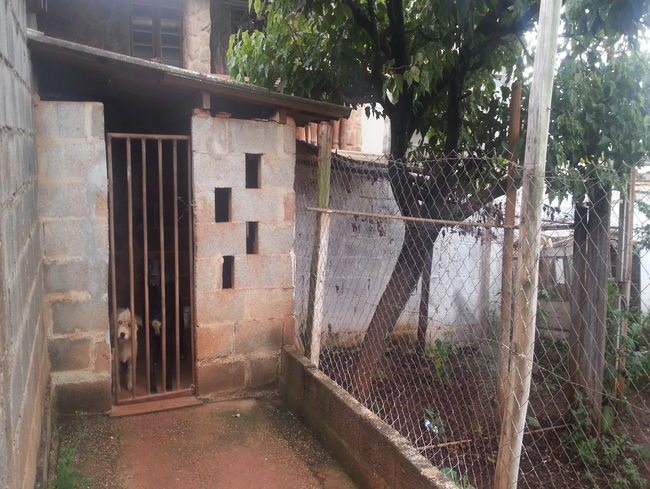Conheça Lote à venda Pedro Leopoldo,MG - VLT016 - 7 7