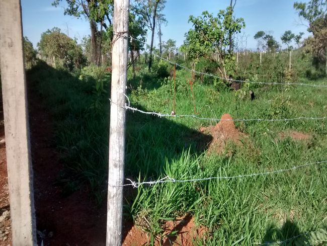 Conheça Imóvel Lote À VENDA - VLT017 - 2 2
