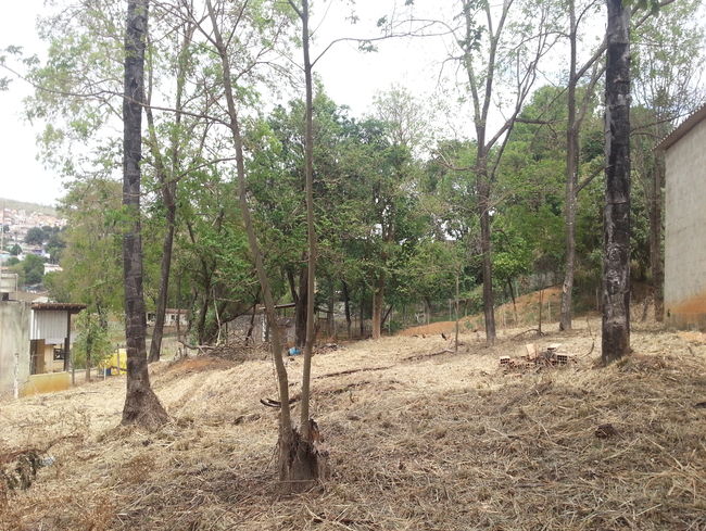 Conheça Terreno Comercial à venda Pedro Leopoldo,MG - VRT003 - 2 2