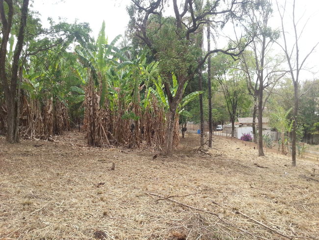 Conheça Terreno Comercial à venda Pedro Leopoldo,MG - VRT003 - 3 3