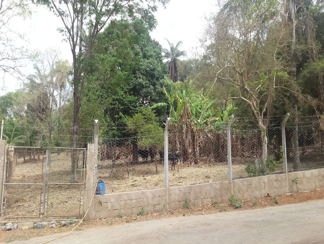 Conheça Terreno Comercial à venda Pedro Leopoldo,MG - VRT003 - 9 9