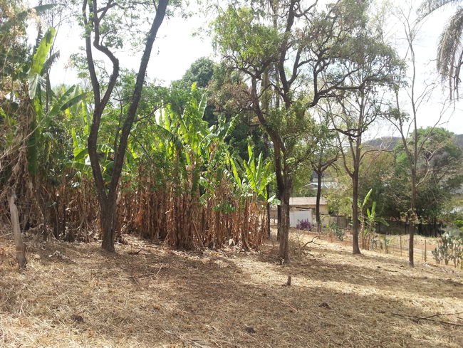 Conheça Terreno Comercial à venda Pedro Leopoldo,MG - VRT003 - 11 11