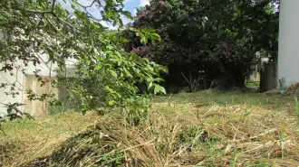 Conheça Imóvel, Lote de 445m², para Alugar, Parque Roberto Belisário, Pedro Leopoldo, MG - LT003 - 5 5