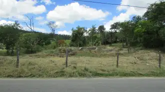 Conheça Imóvel, Lote, à Venda, Coqueirinho, Pedro Leopoldo, MG - VLT042 - 3 3