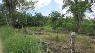 Conheça Imóvel, Lote, à Venda, Coqueirinho, Pedro Leopoldo, MG - VLT042 - 7 7