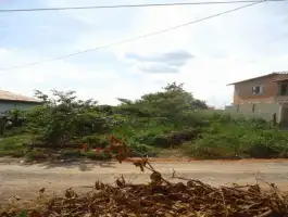 Conheça Imóvel Outros Para Alugar, Andyara, Pedro Leopoldo, MG - LT001 - 1 1